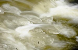 45  CJ355-Bicknell-Brook-Ice-Pattern.jpg